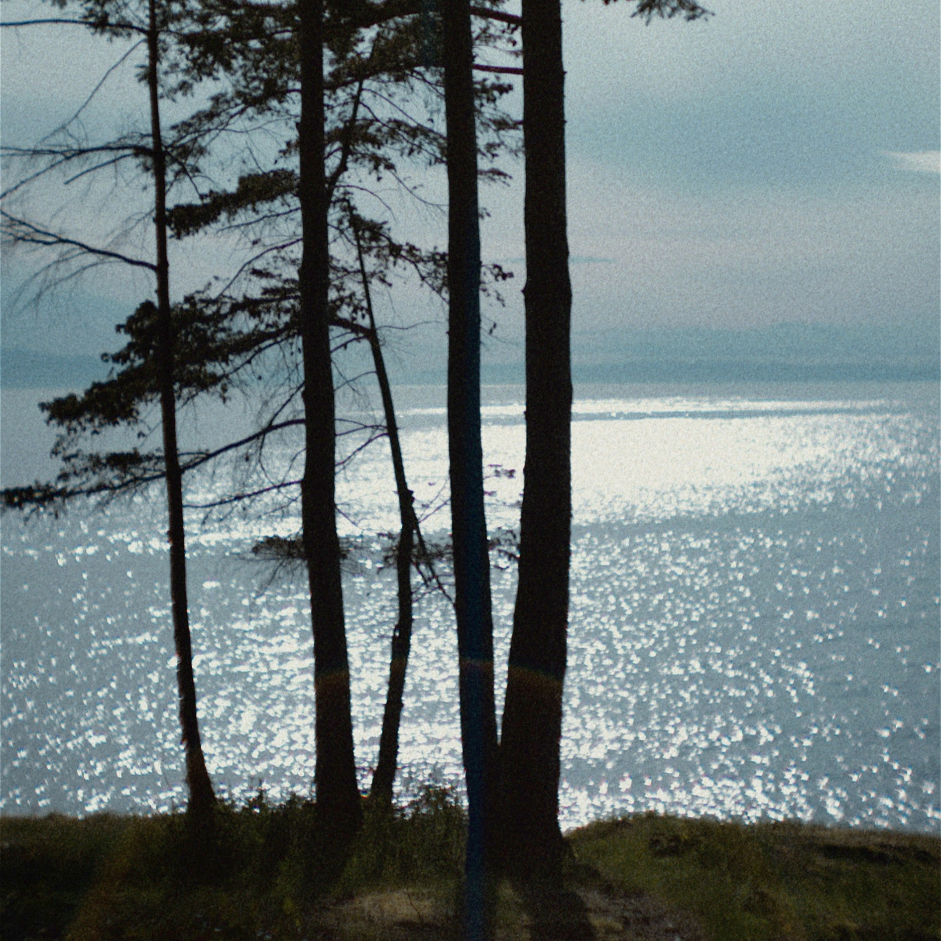 A Conversation with Dr. Nicole van Poelgeest