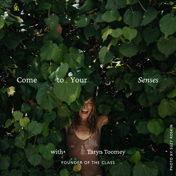 Come To Your Senses with Taryn Toomey