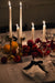 Table of Earthly Delights