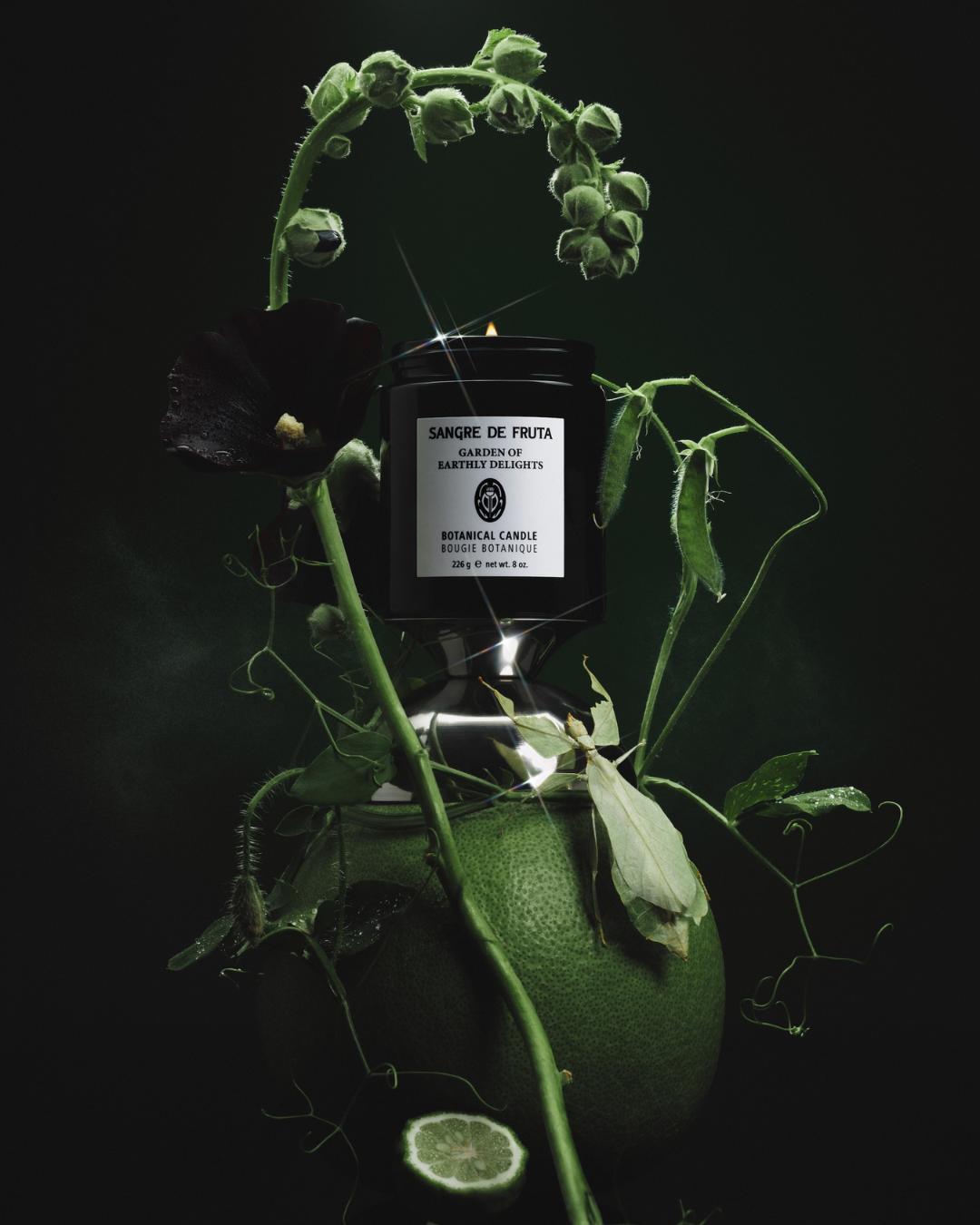 Midnight Matcha Gift Set