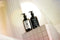 Hand & Body Lotion | Head of Roses