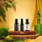 The Botanical Hair Trio - Travel
