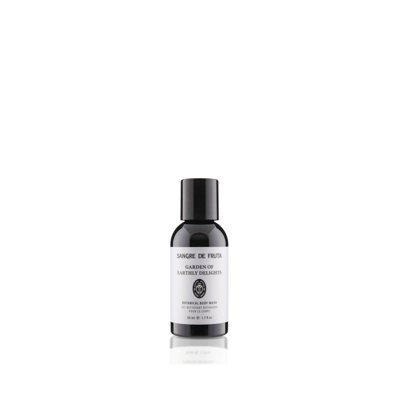 TRAVEL  HAND WASH / BODY WASH