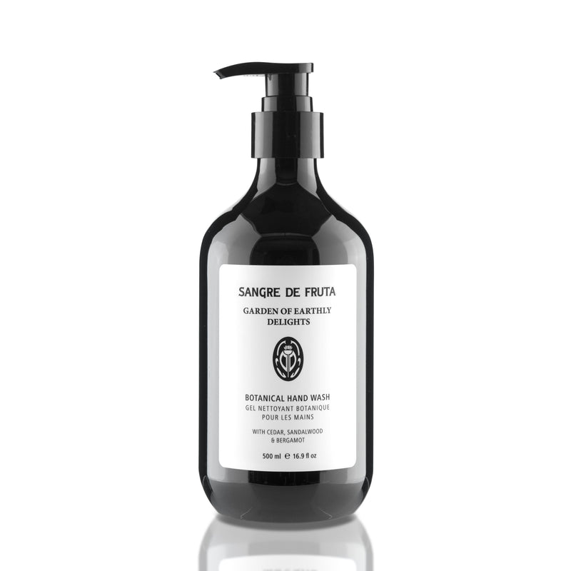 BOTANICAL HAND WASH